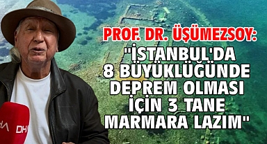 Prof. Dr. Üşümezsoy: 