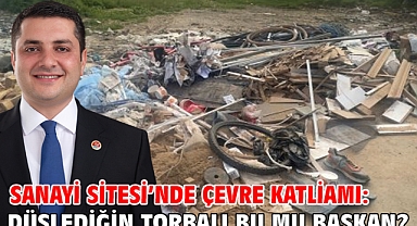 Sanayi Sitesi’nde çevre katliamı: Düşlediğin Torbalı bu mu başkan?