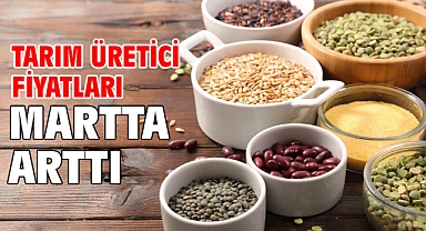  Tarım üretici fiyatları martta arttı