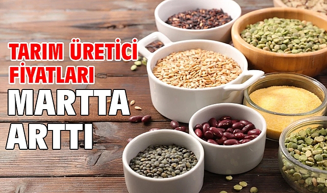 Tarım üretici fiyatları martta arttı