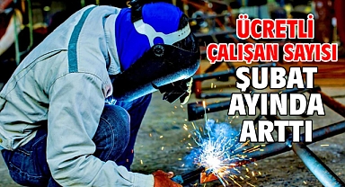  Ücretli çalışan sayısı şubat ayında arttı