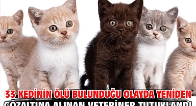 33 kedinin ölü bulunduğu olayda yeniden gözaltına alınan veteriner tutuklandı