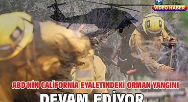 ABD'nin California eyaletindeki orman yangını devam ediyor