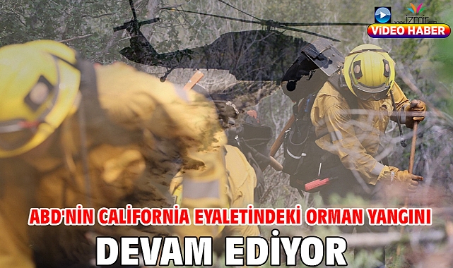 ABD'nin California eyaletindeki orman yangını devam ediyor