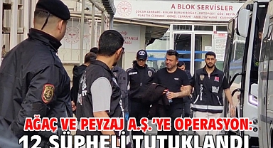 Ağaç ve Peyzaj A.Ş.’ye operasyon: 12 şüpheli tutuklandı