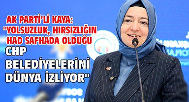 AK Parti’li Kaya: 