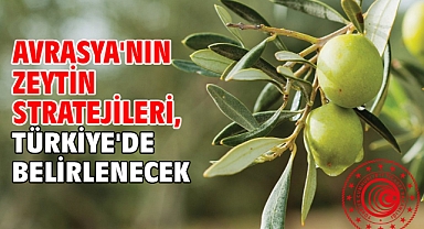 Avrasya'nın zeytin stratejileri, Türkiye'de belirlenecek