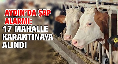 Aydın’da şap alarmı: 17 mahalle karantinaya alındı