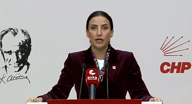 CHP'li Rızvanoğlu: Bu ülkenin ormanları sahipsiz değil