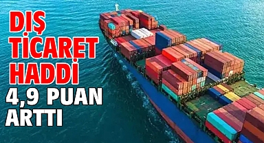 Dış ticaret haddi 4,9 puan arttı