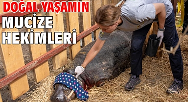 Doğal yaşamın mucize hekimleri