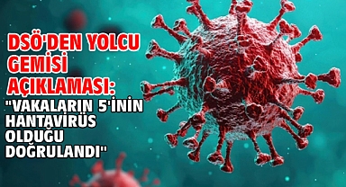 DSÖ'den yolcu gemisi açıklaması: 