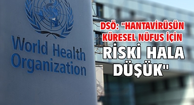 DSÖ: 