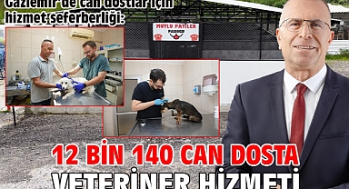 Gaziemir’de can dostlar için hizmet seferberliği: 12 bin 140 can dosta veteriner hizmeti
