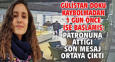 Gülistan Doku kaybolmadan 1 gün önce işe başlamış: Patronuna attığı son mesaj ortaya çıktı