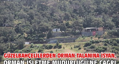 Güzelbahçelilerden orman talanına isyan, Orman İşletme Müdürlüğü'ne çağrı!