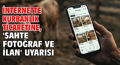 İnternette kurbanlık ticaretine, 'sahte fotoğraf ve ilan' uyarısı 