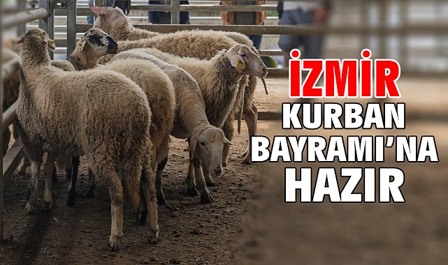 İzmir Kurban Bayramı'na hazır