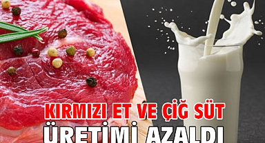Kırmızı et ve çiğ süt üretimi azaldı