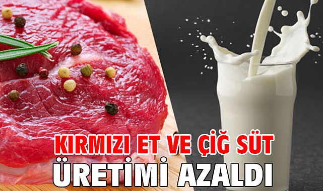 Kırmızı et ve çiğ süt üretimi azaldı