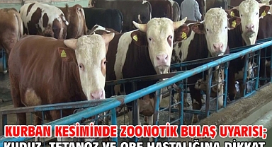 Kurban kesiminde zoonotik bulaş uyarısı; kuduz, tetanoz ve orf hastalığına dikkat