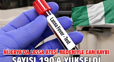 Nijerya'da Lassa ateşi nedeniyle can kaybı sayısı 190'a yükseldi