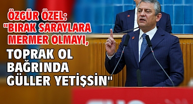 Özgür Özel: 