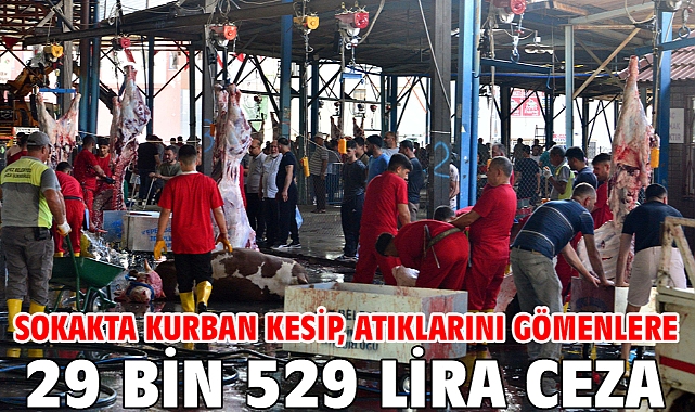 Sokakta kurban kesip, atıklarını gömenlere 29 bin 529 lira ceza