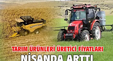 Tarım ürünleri üretici fiyatları nisanda arttı