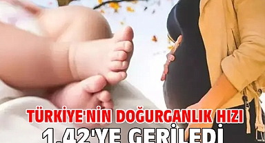 Türkiye'nin doğurganlık hızı 1,42'ye geriledi