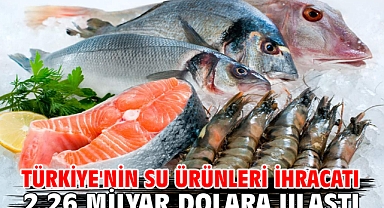 Türkiye'nin su ürünleri ihracatı 2,26 milyar dolara ulaştı