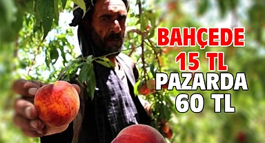 Bahçede 15 TL pazarda 60 TL