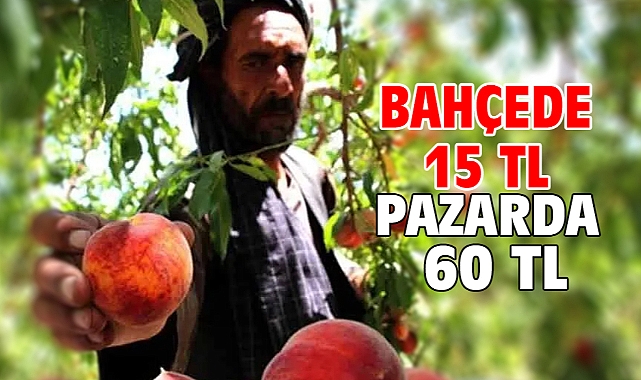 Bahçede 15 TL pazarda 60 TL