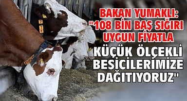 Bakan Yumaklı: 