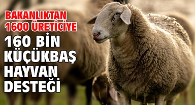 Bakanlıktan 1600 üreticiye 160 bin küçükbaş hayvan desteği
