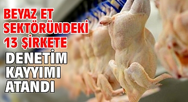 Beyaz et sektöründeki 13 şirkete denetim kayyımı atandı