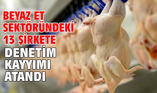 Beyaz et sektöründeki 13 şirkete denetim kayyımı atandı