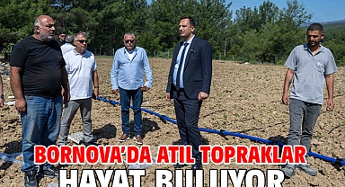 Bornova'da atıl topraklar hayat buluyor