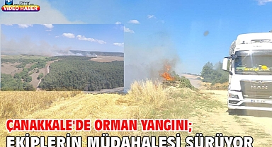 Çanakkale'de orman yangını; ekiplerin müdahalesi sürüyor