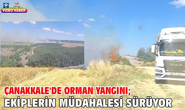Çanakkale'de orman yangını; ekiplerin müdahalesi sürüyor