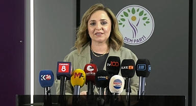 DEM Parti'li Doğan'dan 'Terörsüz Türkiye' süreci açıklaması