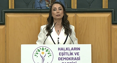 DEM Parti'li Hatimoğulları: Çerçeve yasanın acilen çıkması lazım