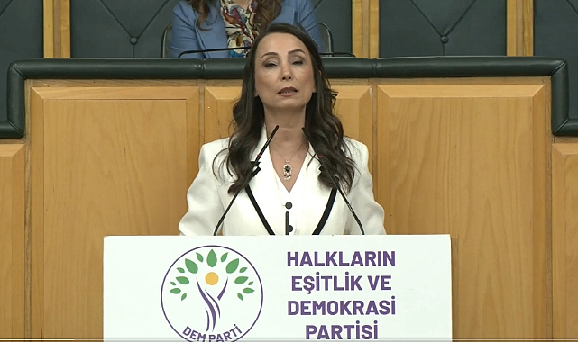 DEM Parti'li Hatimoğulları: Çerçeve yasanın acilen çıkması lazım