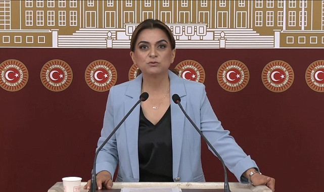 DEM Parti'li Koçyiğit: Barışın hukuksal bir güvenceye ihtiyacı var