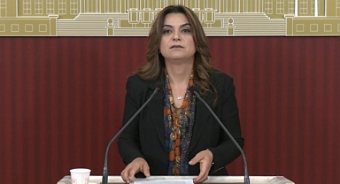 DEM Parti'li Koçyiğit: Çerçeve yasanın bir an önce TBMM'ye gelmesi gerekiyor