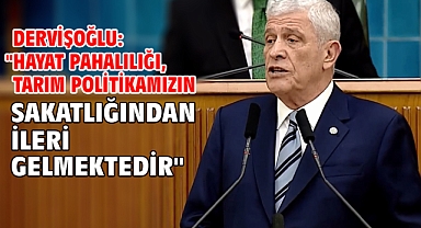 Dervişoğlu: