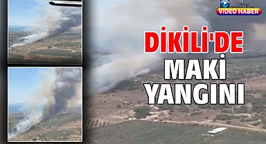Dikili'de maki yangını