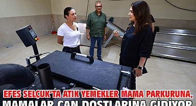 Efes Selçuk’ta atık yemekler mama parkuruna, mamalar can dostlarına gidiyor