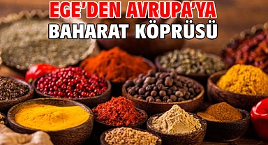 Ege’den Avrupa’ya Baharat Köprüsü
