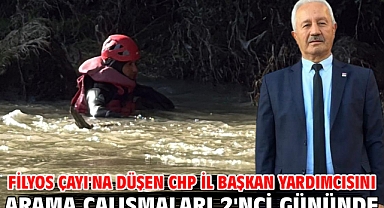Filyos Çayı'na düşen CHP İl Başkan Yardımcısını arama çalışmaları 2'nci gününde